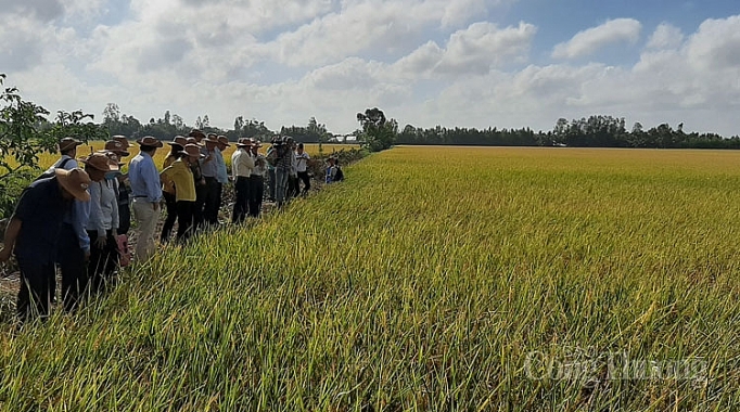 Quế Lâm và câu chuyện đánh thức tiềm năng nông nghiệp hữu cơ que lam va cau chuyen danh thuc tiem nang nong nghiep huu co