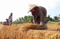 UNDP hỗ trợ Việt Nam 30,2 triệu USD nhằm tăng cường khả năng chống chịu với biến đổi khí hậu