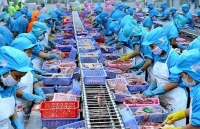 Doanh nghiệp thủy sản đề xuất giải pháp về tài chính vượt qua Covid- 19