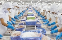 Quý I/2020: Xuất khẩu thủy sản sang Trung Quốc dự báo giảm ít nhất 20%