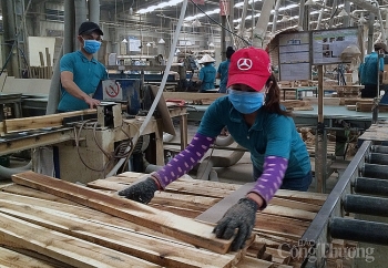 10 tháng năm 2020, xuất khẩu gỗ và sản phẩm gỗ sang thị trường EU tăng 1,4%