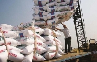 Quý I/2019: Nhập khẩu phân bón tăng 9,8% về giá trị