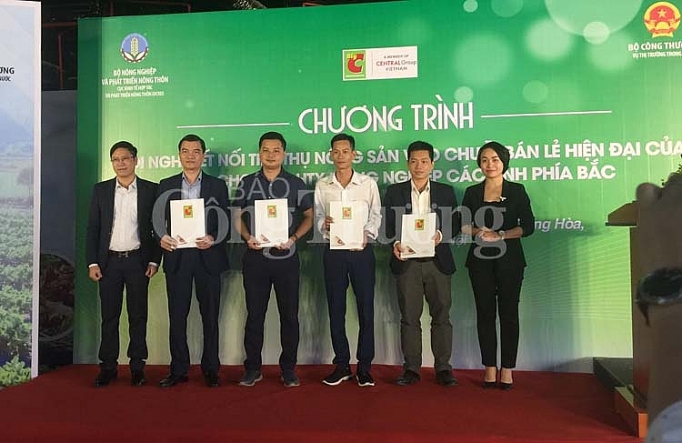 Kết nối tiêu thụ hàng hóa nông sản vào hệ thống siêu thị Big C Việt Nam ket noi tieu thu hang hoa nong san vao he thong sieu thi big c viet nam