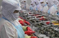 Xuất khẩu tôm đón lợi thế vượt dịch Covid-19