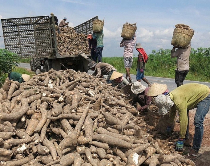 quy i2020 xuat khau san phuc hoi tro lai