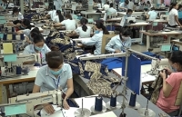 Hà Nội: Đồng bộ các giải pháp phát triển sản xuất kinh doanh, đảm bảo an sinh xã hội