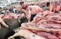 Cần giải pháp mạnh hơn để kiểm soát giá thịt lợn