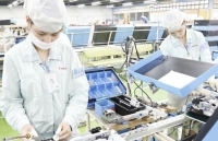 Hà Nội tìm giải pháp mở rộng thị trường xuất khẩu trước bối cảnh dịch Covid-19