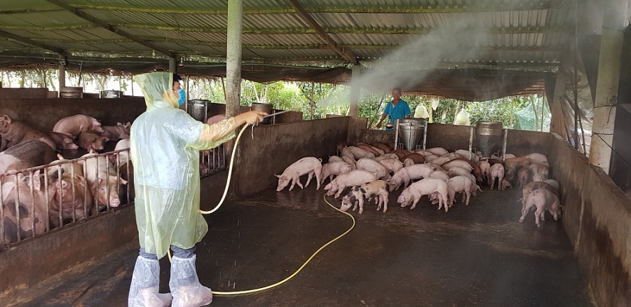 Tăng cường an toàn sinh học tại trang trại