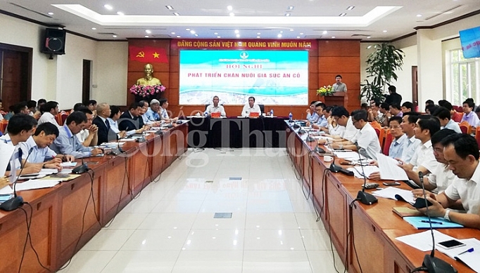 Chăn nuôi gia súc ăn cỏ còn nhiều "dư địa" phát triển chan nuoi gia suc an co con nhieu du dia trong phat trien