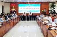 Chăn nuôi gia súc ăn cỏ còn nhiều 