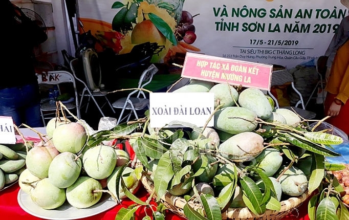 khai mac tuan le xoai va nong san an toan tinh son la tai ha noi