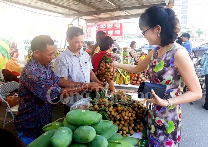 khai mac tuan le xoai va nong san an toan tinh son la tai ha noi