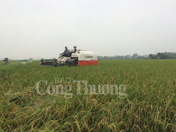 gao huu co dong phu huong toi chinh phuc thi truong my