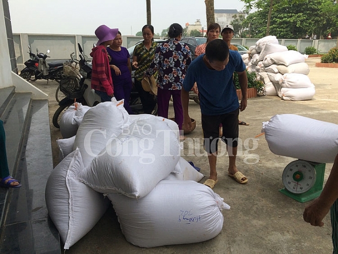 gao huu co dong phu huong toi chinh phuc thi truong my