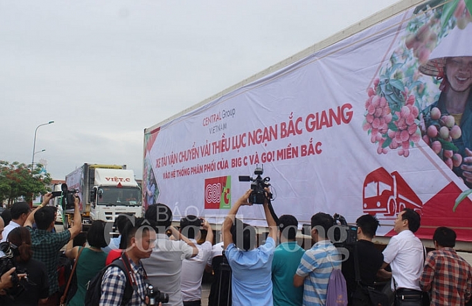 nam 2019 central group viet nam se tieu thu khoang 350 tan vai thieu luc ngan