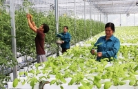 Hà Nội: Tăng tốc thực hiện nông thôn mới