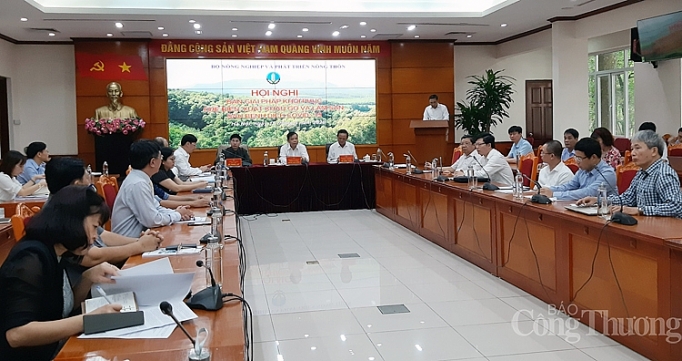 tan dung tot cac co hoi ve thi truong khoi phuc che bien xuat khau go