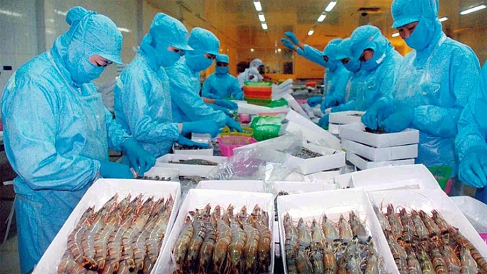 Số lô hàng thủy sản bị cảnh báo vi phạm 4 tháng năm 2020 giảm nhưng vẫn ở mức cao so lo hang thuy san bi canh bao vi pham 4 thang nam 2020 giam nhung van o muc cao