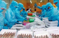 Số lô hàng thủy sản bị cảnh báo vi phạm 4 tháng năm 2020 giảm nhưng vẫn ở mức cao