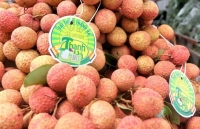 Hà Nội: Sắp diễn ra phiên chợ quảng bá, tiêu thụ vải thiều Thanh Hà và nông sản, thực phẩm an toàn