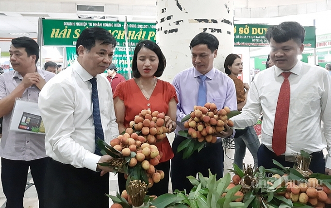 Vải thiều Thanh Hà "hút" người tiêu dùng Thủ đô vai thieu thanh ha hut nguoi tieu dung thu do