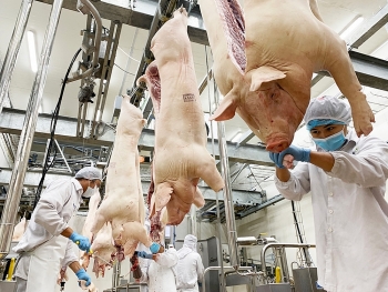 Xuất khẩu sản phẩm chăn nuôi duy trì đà tăng