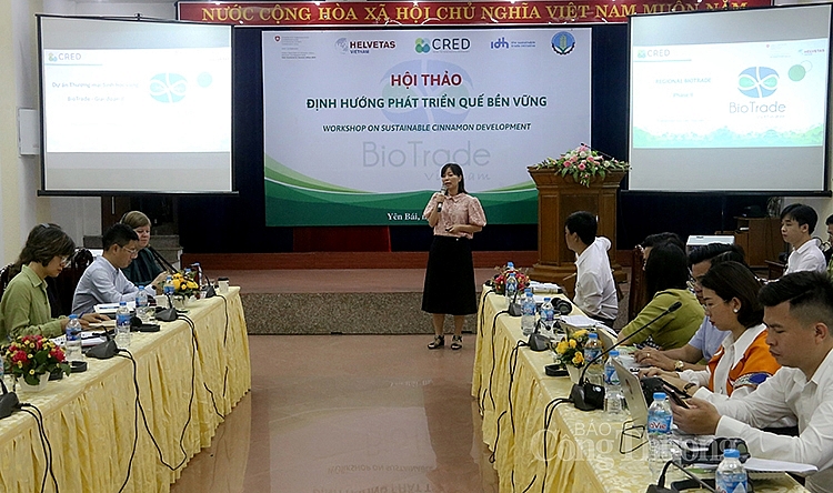 Toàn cảnh Hội thảo Toàn cảnh Hội thảo