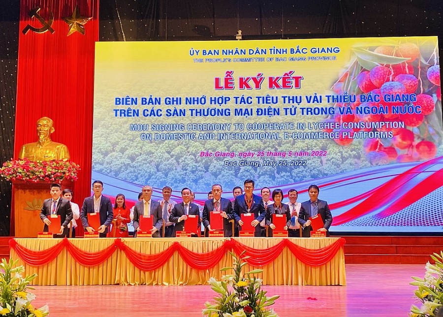 3 đại diện tập đoàn Central Retai (đứng thứ hai bên phải) ký kết tiêu thụ vải thiều tại Hội nghị do UBND tỉnh Bắc Giang tổ chức 3 đại diện tập đoàn Central Retai (đứng thứ hai bên phải) ký kết tiêu thụ vải thiều tại Hội nghị do UBND tỉnh Bắc Giang tổ chức