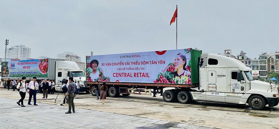 Xuất hành container vải thiều vào hệ thống của Central Retail Xuất hành container vải thiều vào hệ thống của Central Retail