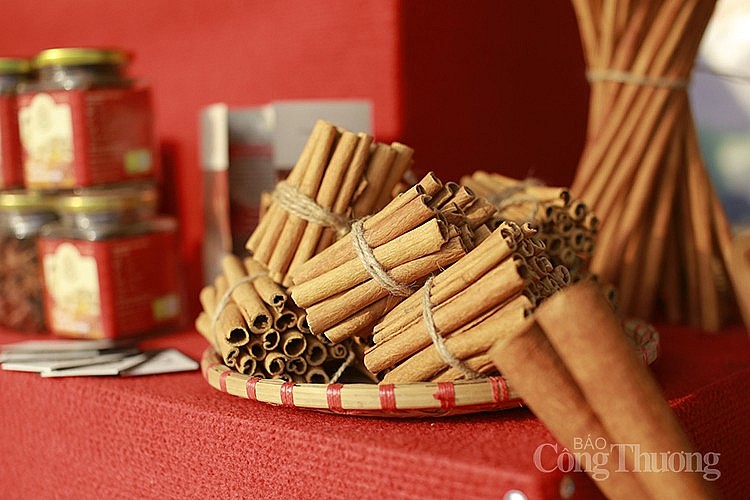 Việc tuân thủ các tiêu chuẩn bền vững đóng vai trò rất quan trọng để các mặt hàng của Việt Nam như quế có thể thâm nhập thị trường toàn cầu. Việc tuân thủ các tiêu chuẩn bền vững đóng vai trò rất quan trọng để các mặt hàng của Việt Nam như quế có thể thâm nhập thị trường toàn cầu.