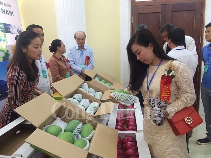Sơn La: Lần đầu tiên xoài Yên Châu xuất khẩu sang Mỹ, Anh son la lan dau tien san pham xoai yen chau xuat khau sang my anh