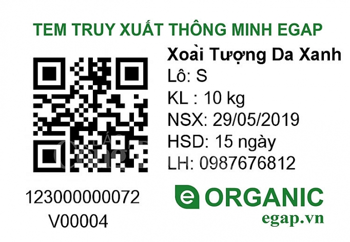 Sơn La: Lần đầu tiên xoài Yên Châu xuất khẩu sang Mỹ, Anh son la lan dau tien san pham xoai yen chau xuat khau sang my anh