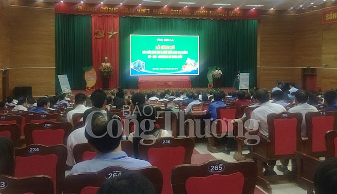 Sơn La: Lần đầu tiên xoài Yên Châu xuất khẩu sang Mỹ, Anh son la lan dau tien san pham xoai yen chau xuat khau sang my anh