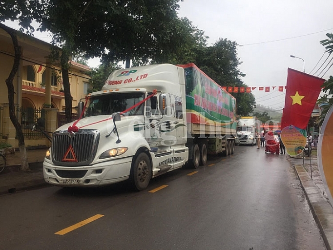 Sơn La: Lần đầu tiên xoài Yên Châu xuất khẩu sang Mỹ, Anh son la lan dau tien san pham xoai yen chau xuat khau sang my anh