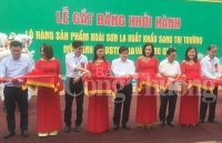 Sơn La: Lần đầu tiên xoài Yên Châu xuất khẩu sang Mỹ, Anh