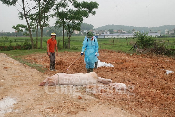 cong dien cua thu tuong ve phong chong dich ta lon chau phi