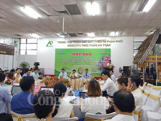 sap dien ra tuan le vai thieu luc ngan nam 2019 tai ha noi