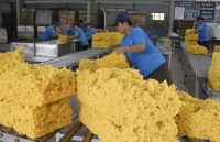 5 tháng 2019: Xuất khẩu cao su mang về 673 triệu USD