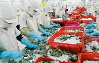 Xuất khẩu thủy sản 5 tháng năm 2019 giảm nhẹ