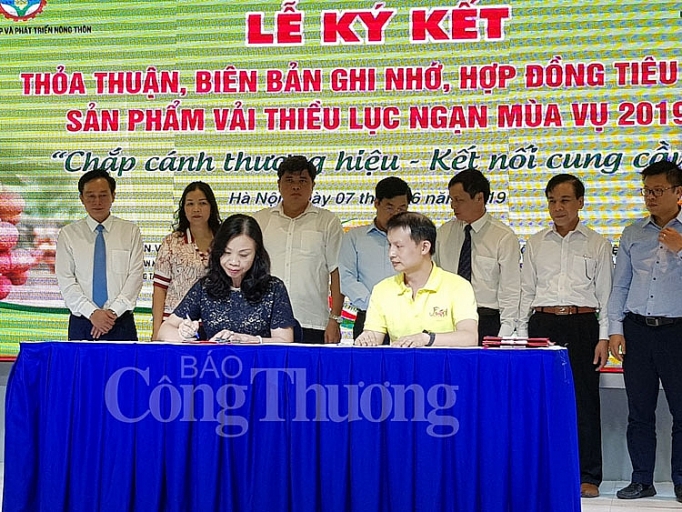 Khai mạc Tuần lễ Vải thiều Lục Ngạn tại Hà Nội năm 2019 khai mac tuan le vai thieu luc ngan tai ha noi nam 2019