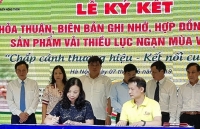 Khai mạc Tuần lễ Vải thiều Lục Ngạn tại Hà Nội năm 2019