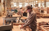 Xuất khẩu lâm sản duy trì đà tăng trưởng mạnh