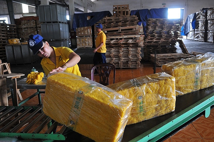 giá cao su trên thị trường thế giới có thể sẽ giảm khoảng 10 - 15% trong quý II/2020 2625-cao-su5-155789530305131929187