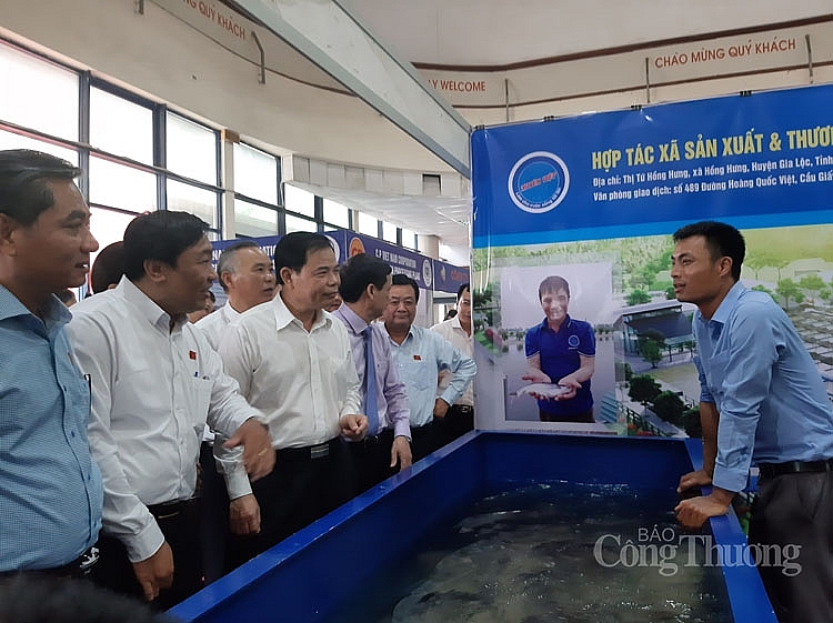 ket noi san xuat tieu thu noi dia cac san pham ca tra