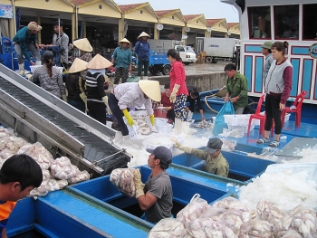Doanh nghiệp thủy sản bức xúc bị