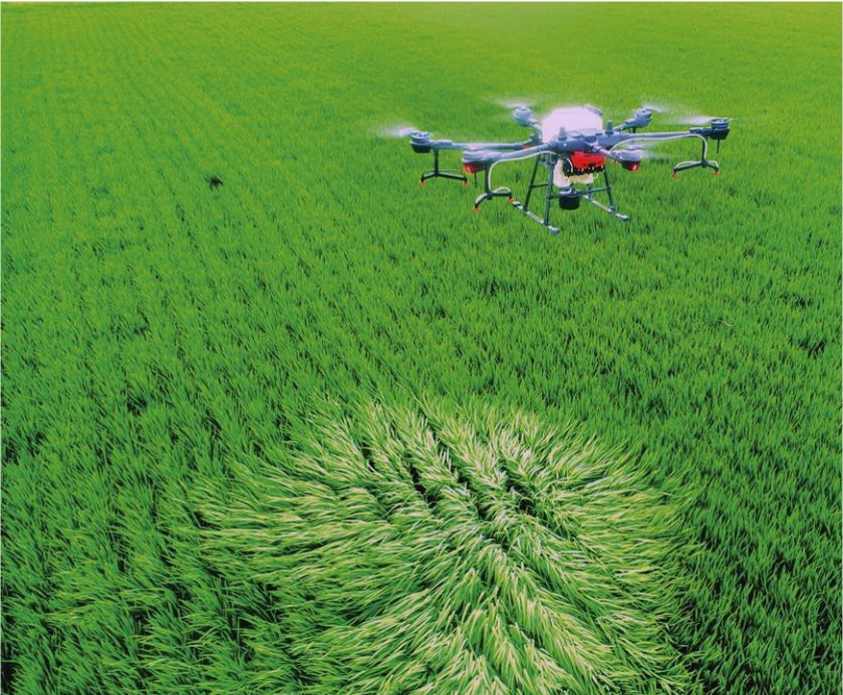 Quá trình số hoá nông nghiệp đang diễn ra ngày càng mạnh mẽ, góp phần thúc đẩy năng lực của nông dân (Nguồn: CropLife Asia)