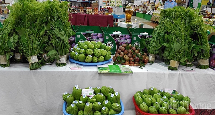 Kết nối tiêu thụ nông sản an toàn tỉnh Lào Cai với doanh nghiệp phân phối Kết nối tiêu thụ nông sản an toàn tỉnh Lào Cai với doanh nghiệp phân phối