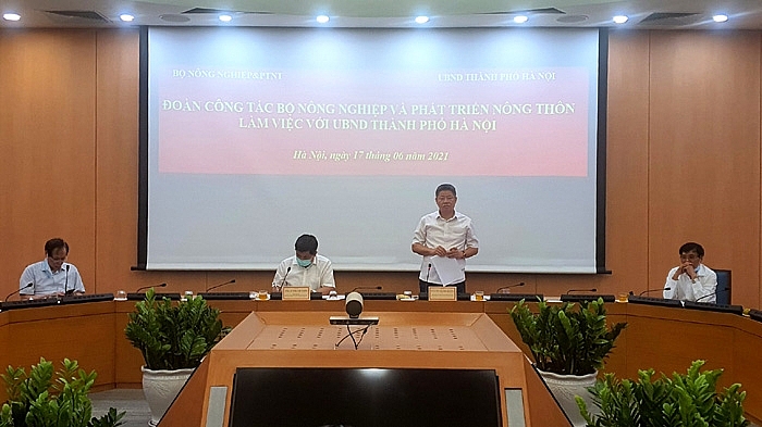 Toàn cảnh buổi làm việc Toàn cảnh buổi làm việc