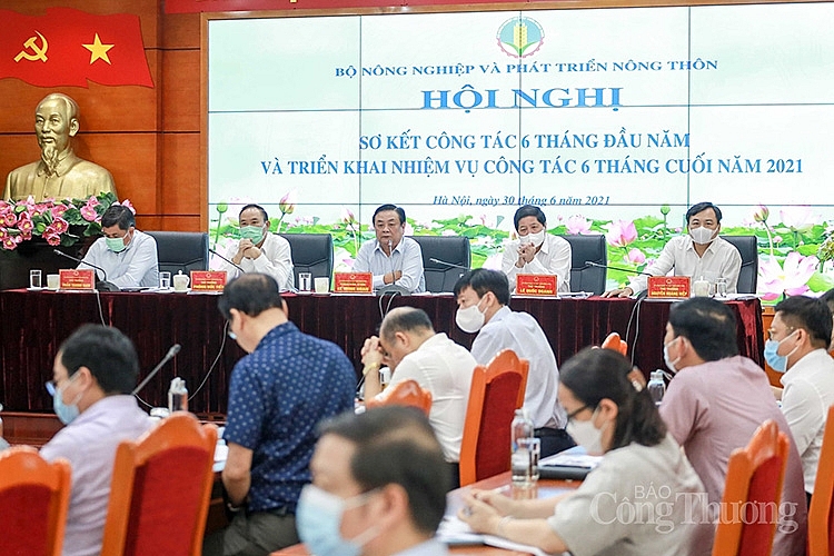 Toàn cảnh Hội nghị